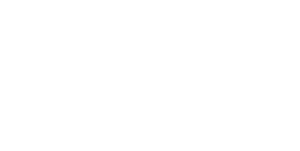 FDOT LOGO